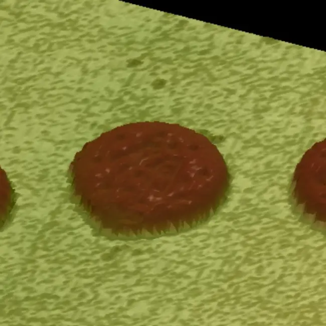 CONTRÔLE D'ASPECT 3D DE BISCUITS en vision industrielle